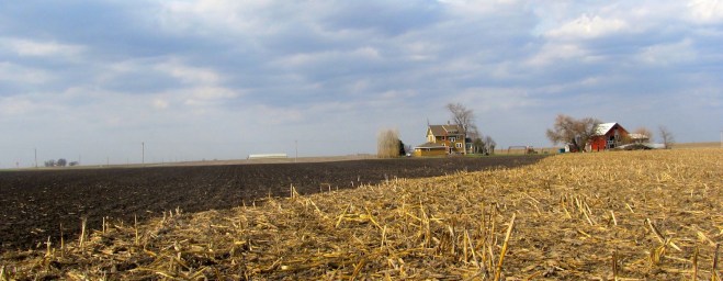 Clover Ranch after a fire in the field.