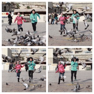 kaleo-birds-western-wall-plaza